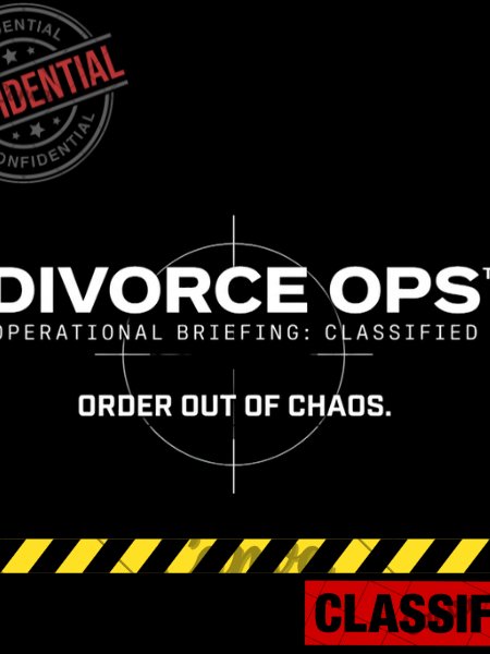 Divorce Ops - High Conflict Divorce Protocol product image (1)
