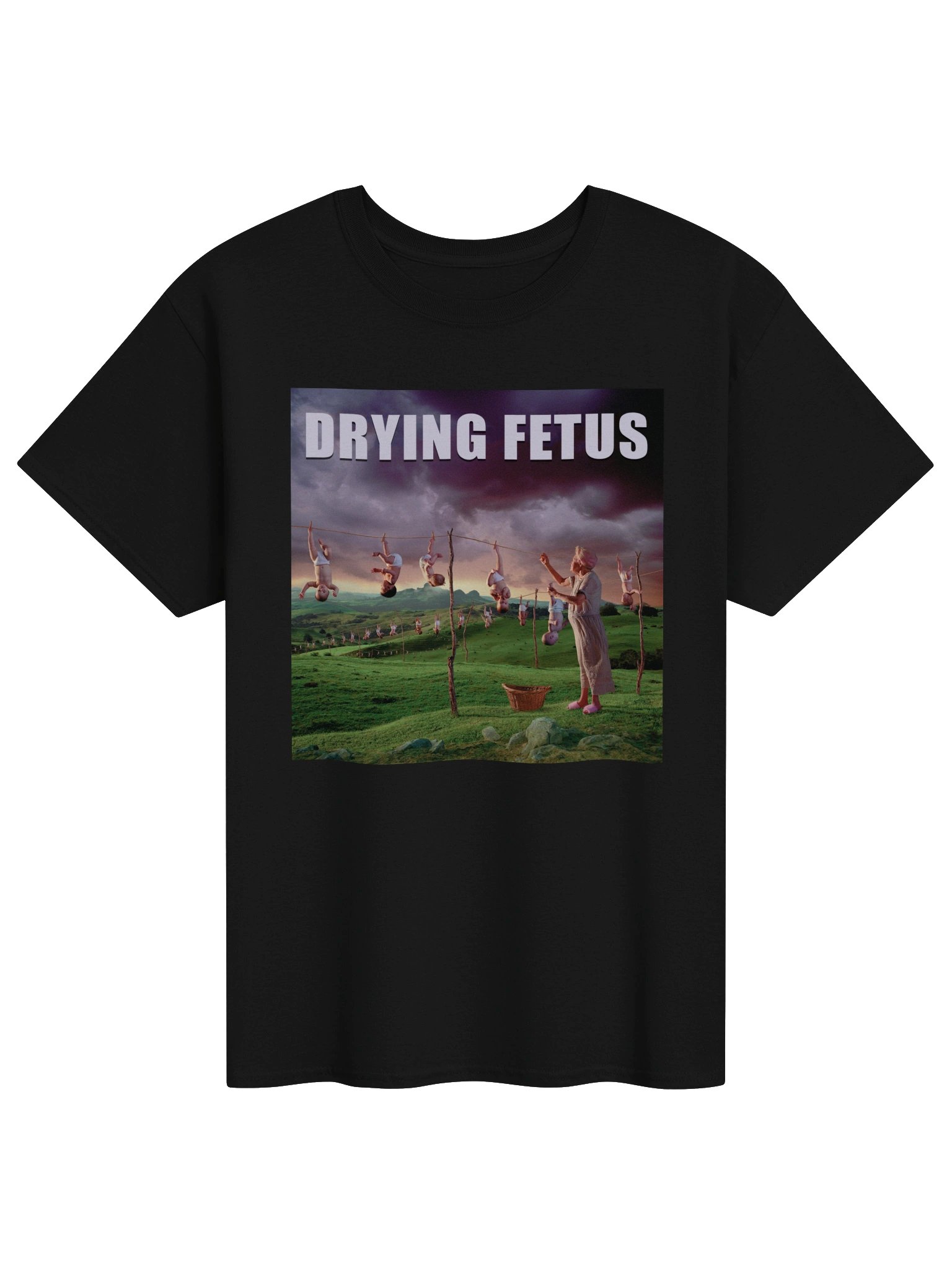 Drying Fetus product image (1)