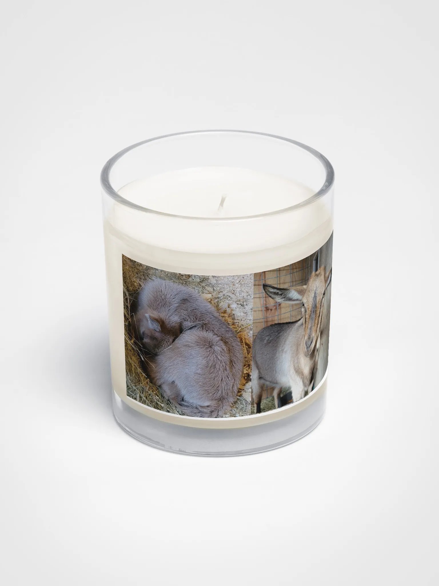 Kiwi - Newborn & Now candle product image (2)