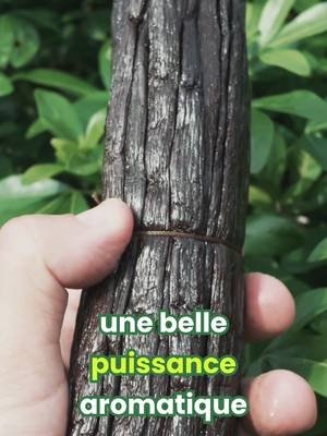 Oubliez le reste : La MEILLEURE Vanille, c'est NOUS ! 👑🇲🇬 ​POV : Tu as enfin trouvé le boss final de la vanille pour tes pâtisseries... 🤯✨ ​Arrêtez d'acheter de la vanille de supermarché qui n'a aucun goût ! Si vous voulez le vrai secret des grands chefs, c'est ICI que ça se passe. ​Je vous dévoile mon pack de 100 gousses de Vanille Bourbon de Madagascar (Sélection Arnaud Vanille). On est sur du très lourd : ✅ 14 à 16 cm de long ✅ Ultra charnue, souple et luisante ✅ Des notes intenses de vanille et de cacao 🍫 ​Avec 100 gousses, tu es tranquille pour un an ! Le secret pour la garder intacte ? Zéro lumière, zéro choc thermique. Tu l'enroules dans du papier paraffiné, tu la mets dans une boîte en fer ou en verre, et direct au placard ! ​🔥 C'EST LE MOMENT DE CRAQUER : Fonce sur ma boutique ! Utilise le code Brésil pour avoir -10% sur ta commande. Le lien est dans ma bio, ne rate pas ça ! 🛒 ​#MeilleureVanille #Vanille #ArnaudSion #LeComptoirDeToamasina #FoodTok 
