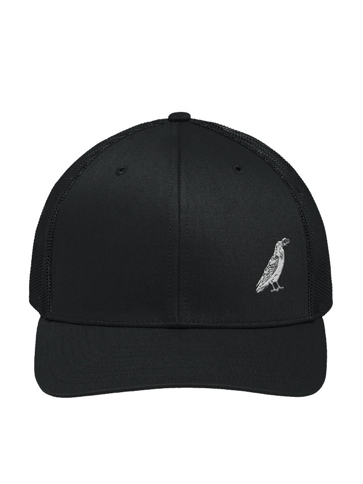 RAVEN BREAD BLACK CAP product image (1)