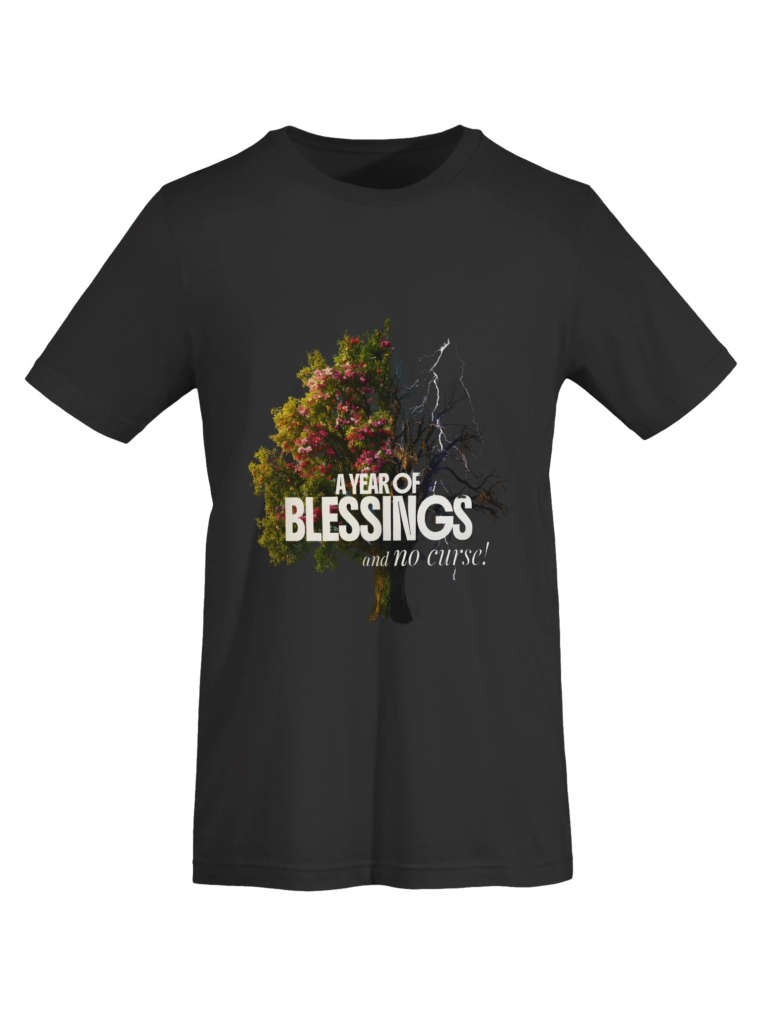 2026: A Year of Blessings and No Curse product image (19)