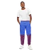 The Official Color Block Trackpants