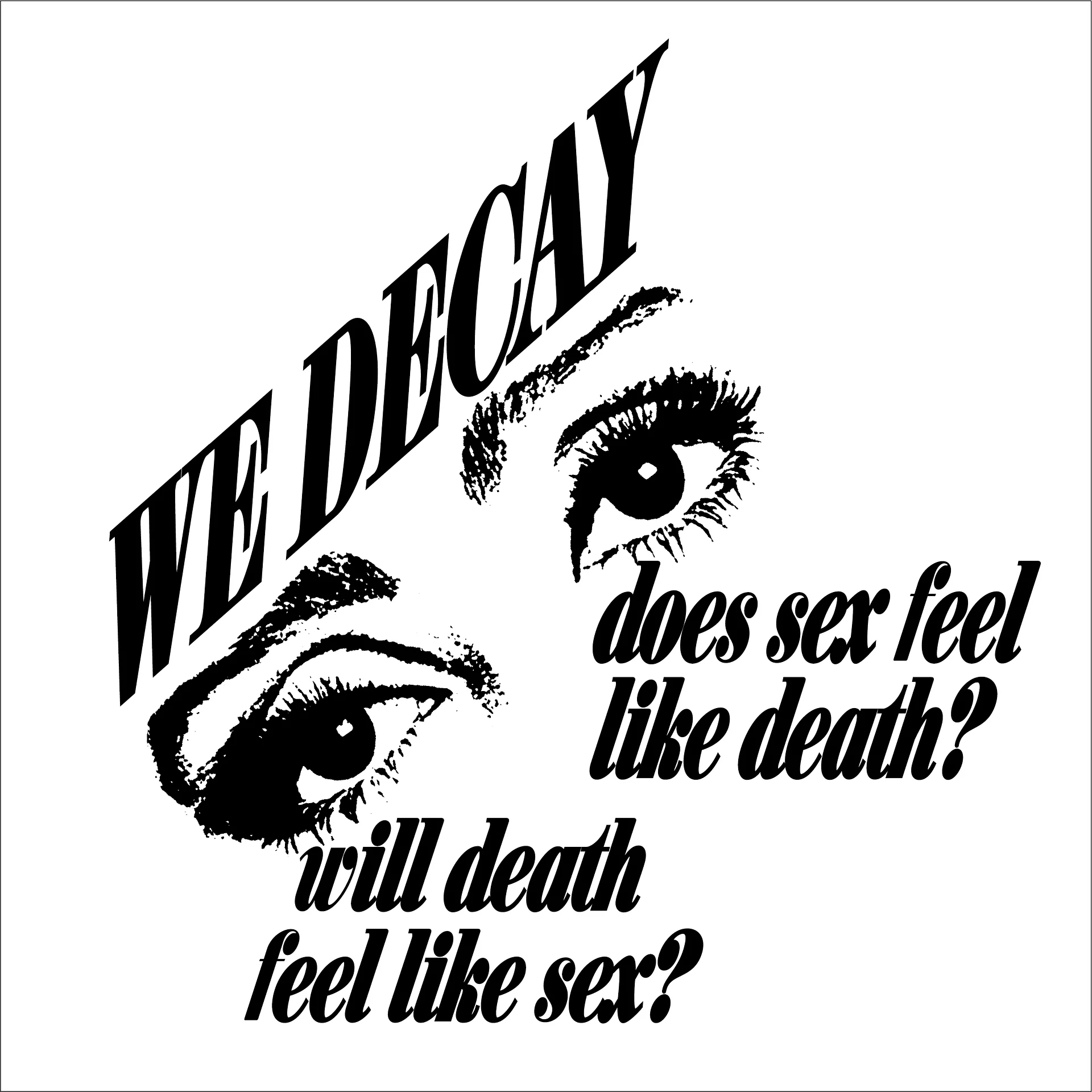 WE DECAY product image (2)