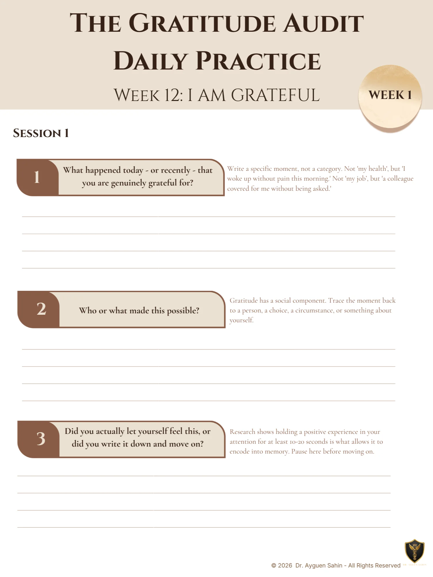 THE GRATITUDE AUDIT product image (2)