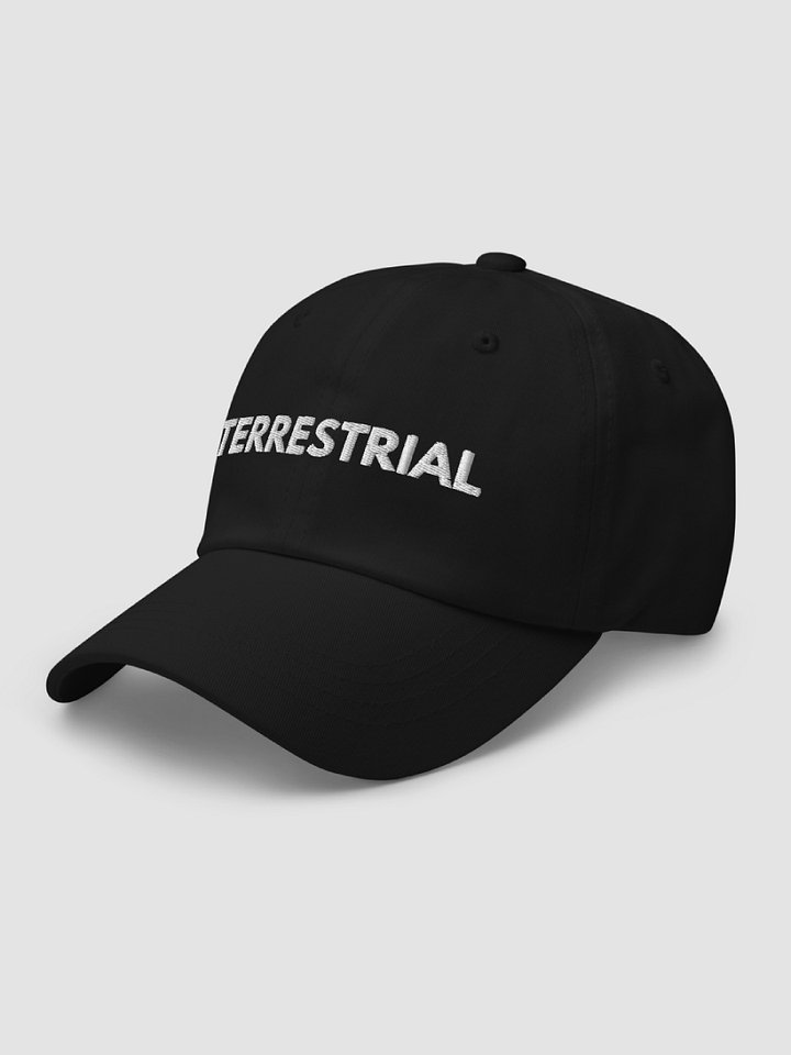 Classic Logo Hat product image (2)