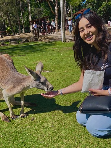 I am so happy 🦘
