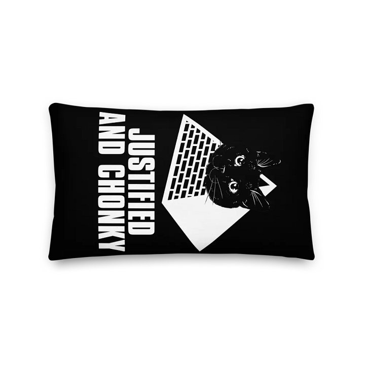 DJ STRIGOI CUDDLE PILLOW product image (2)