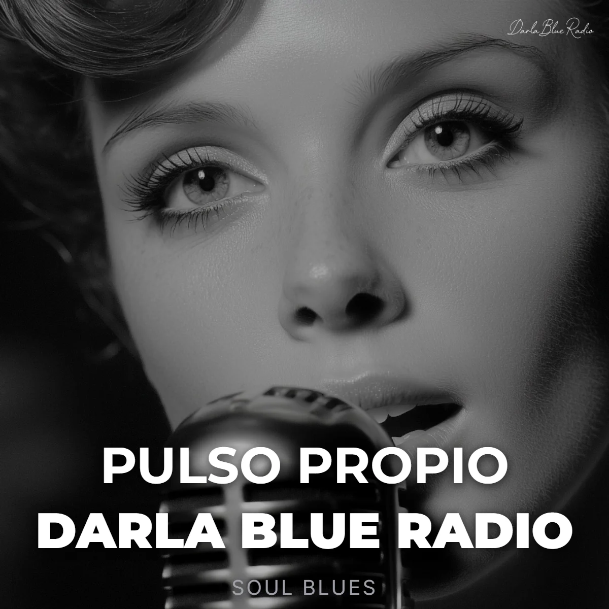 Pulso Propio - Darla Blue Radio (Soul Blues) | Descarga Digital product image (1)