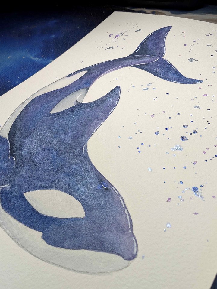 Blue and Purple Shimmer Orca product image (2)