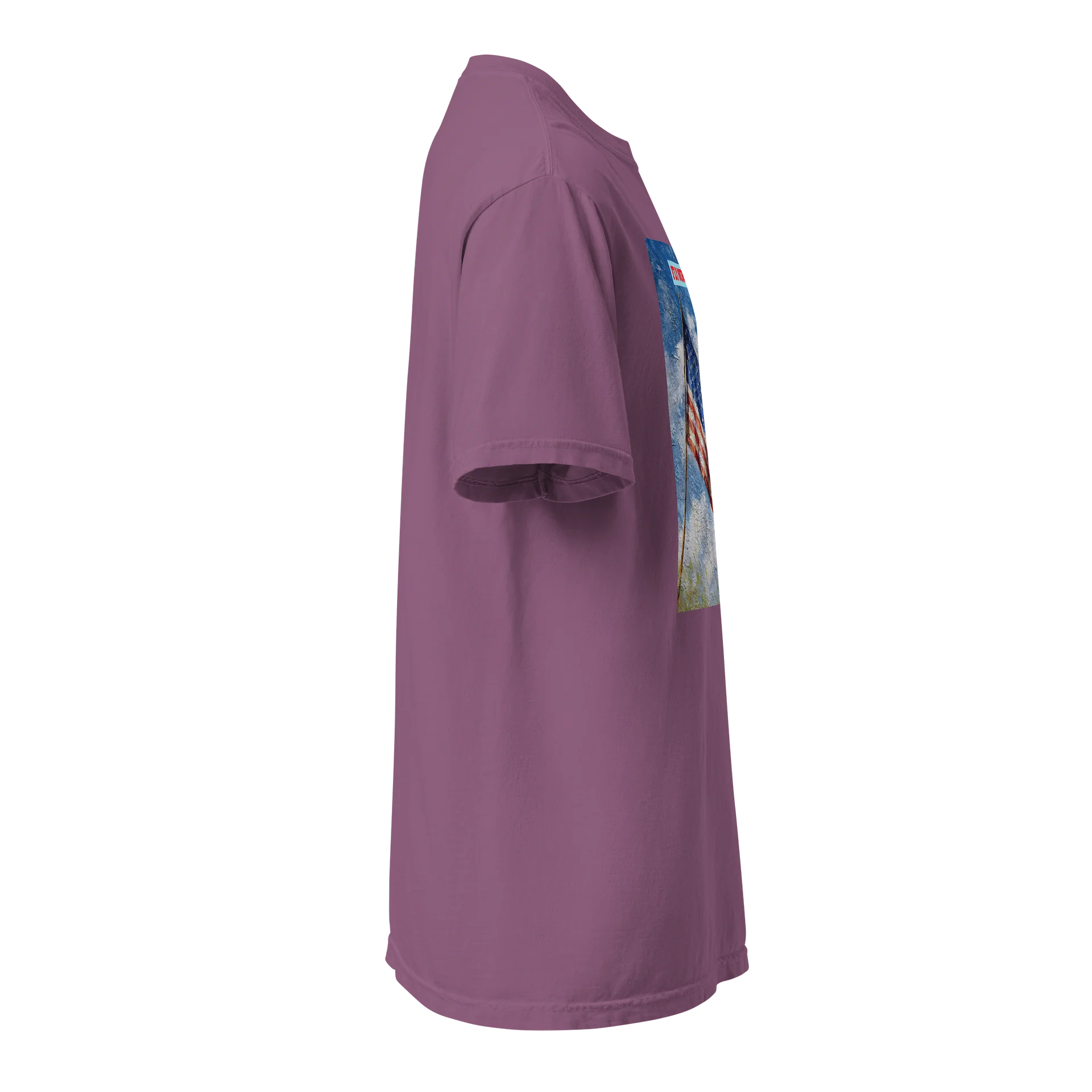 Fly Our Flag Painterly Tee product image (15)