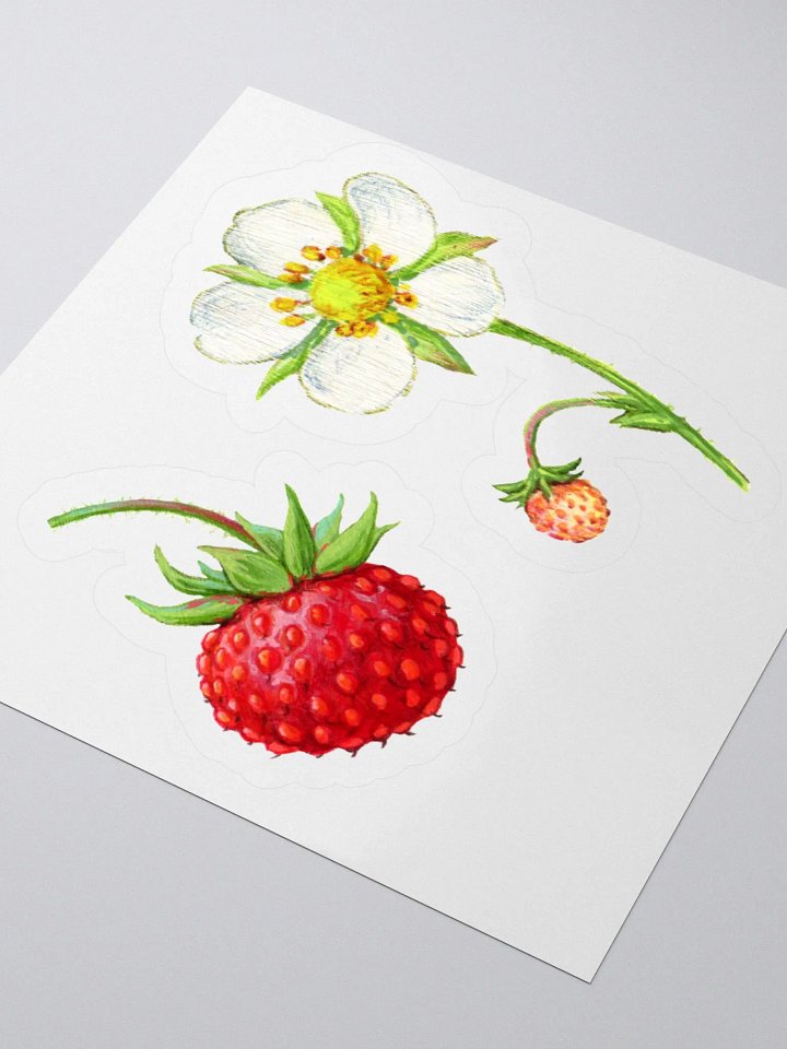 Wild strawberry and flower stickers product image (1)