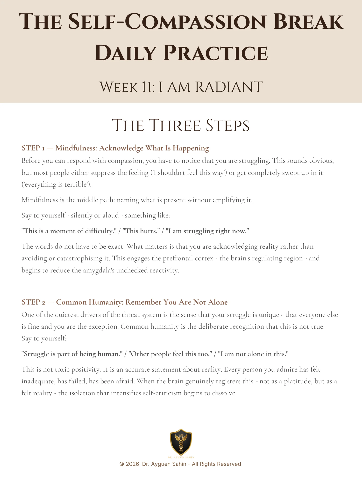 Self-Compassion Break product image (3)