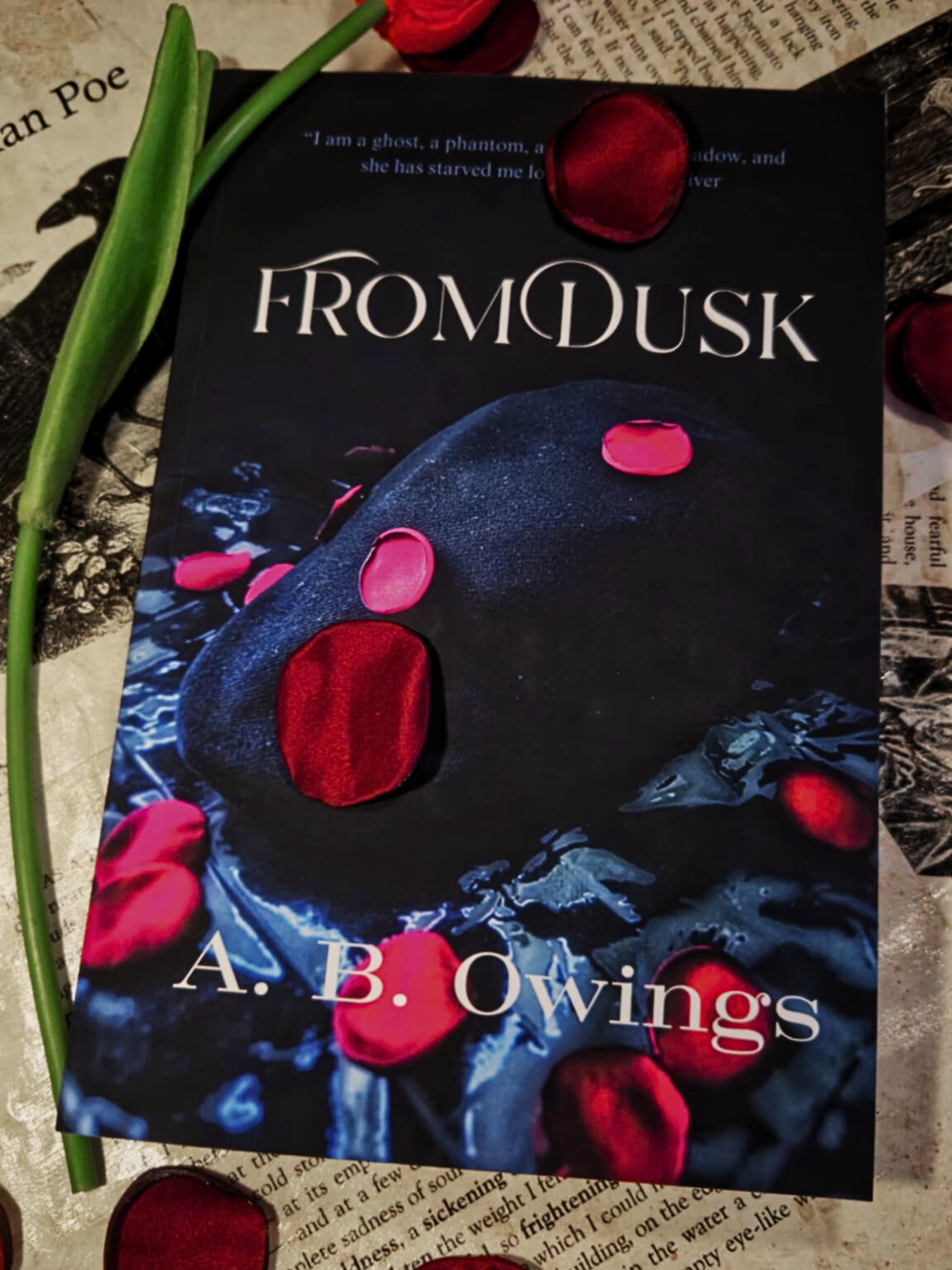 From Dusk (Book 1 of TNT) paperback product image (1)