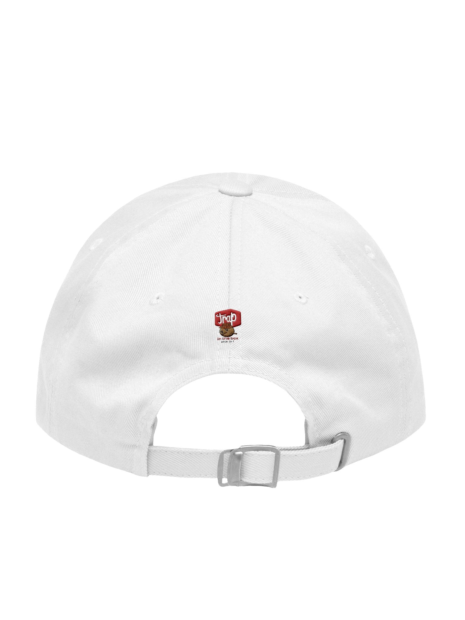 Trap in the Box Dad Hat product image (34)