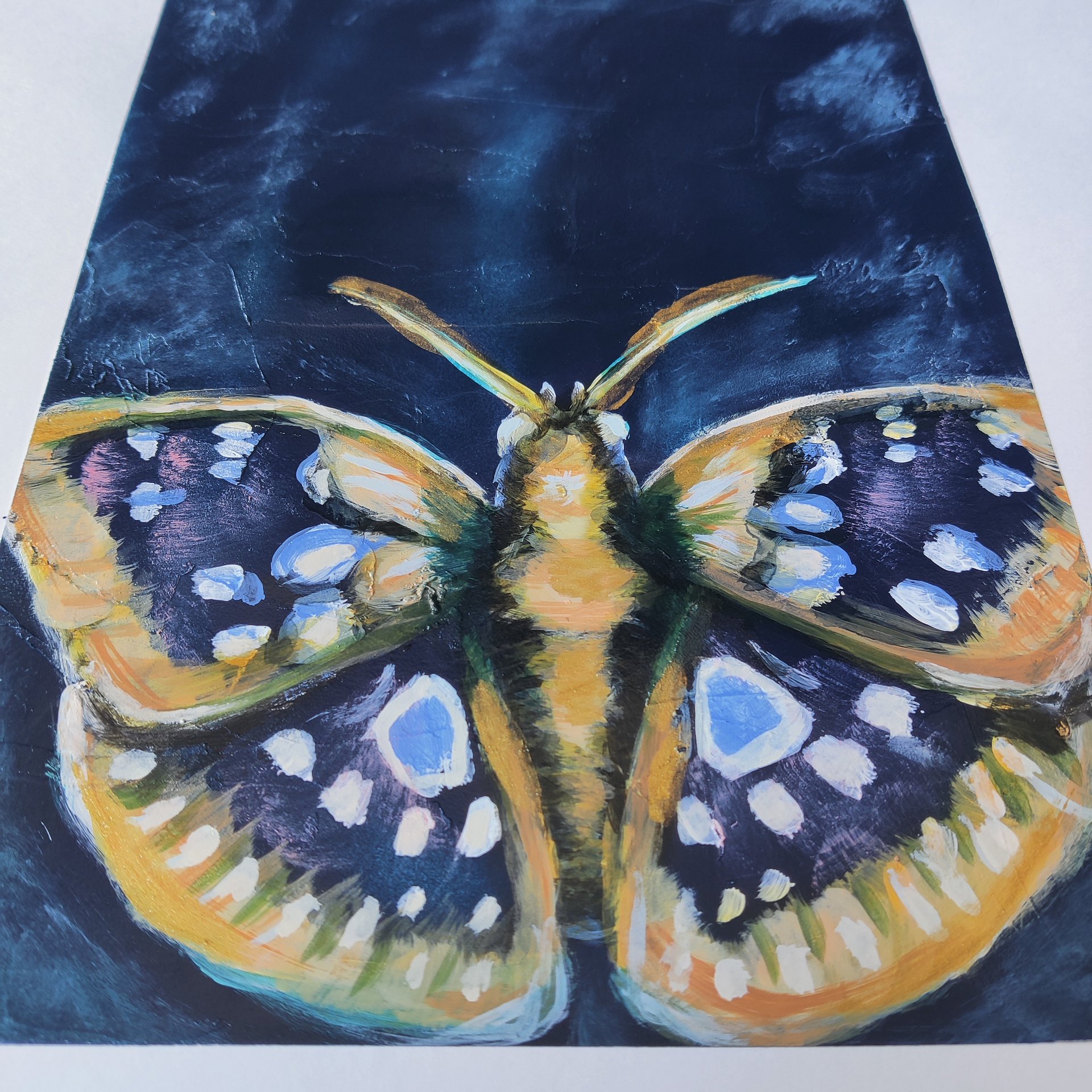 Moth Collection product image (5)