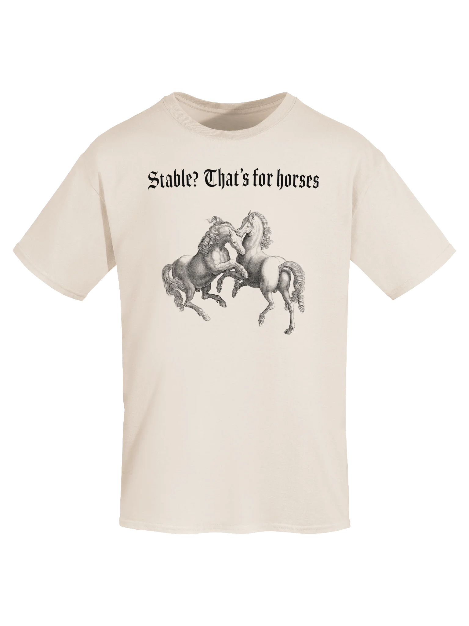 Stable? That's for horses product image (55)