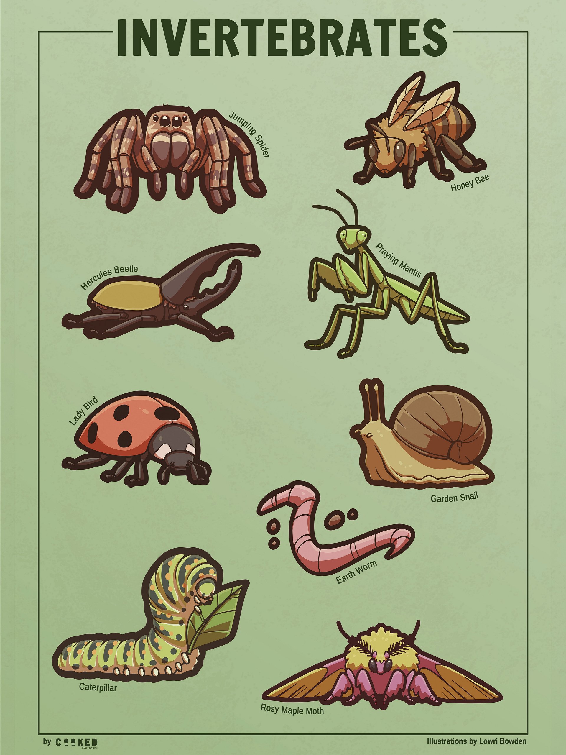 Adorable Invertebrates - 9 Invertebrate Illustrations - Original Illustrated Poster product image (1)