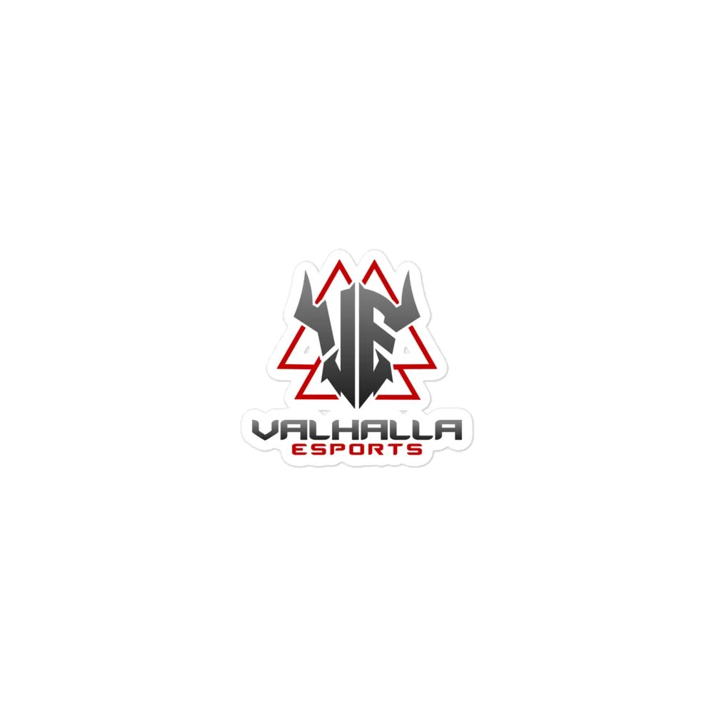 VE Magnet product image (1)