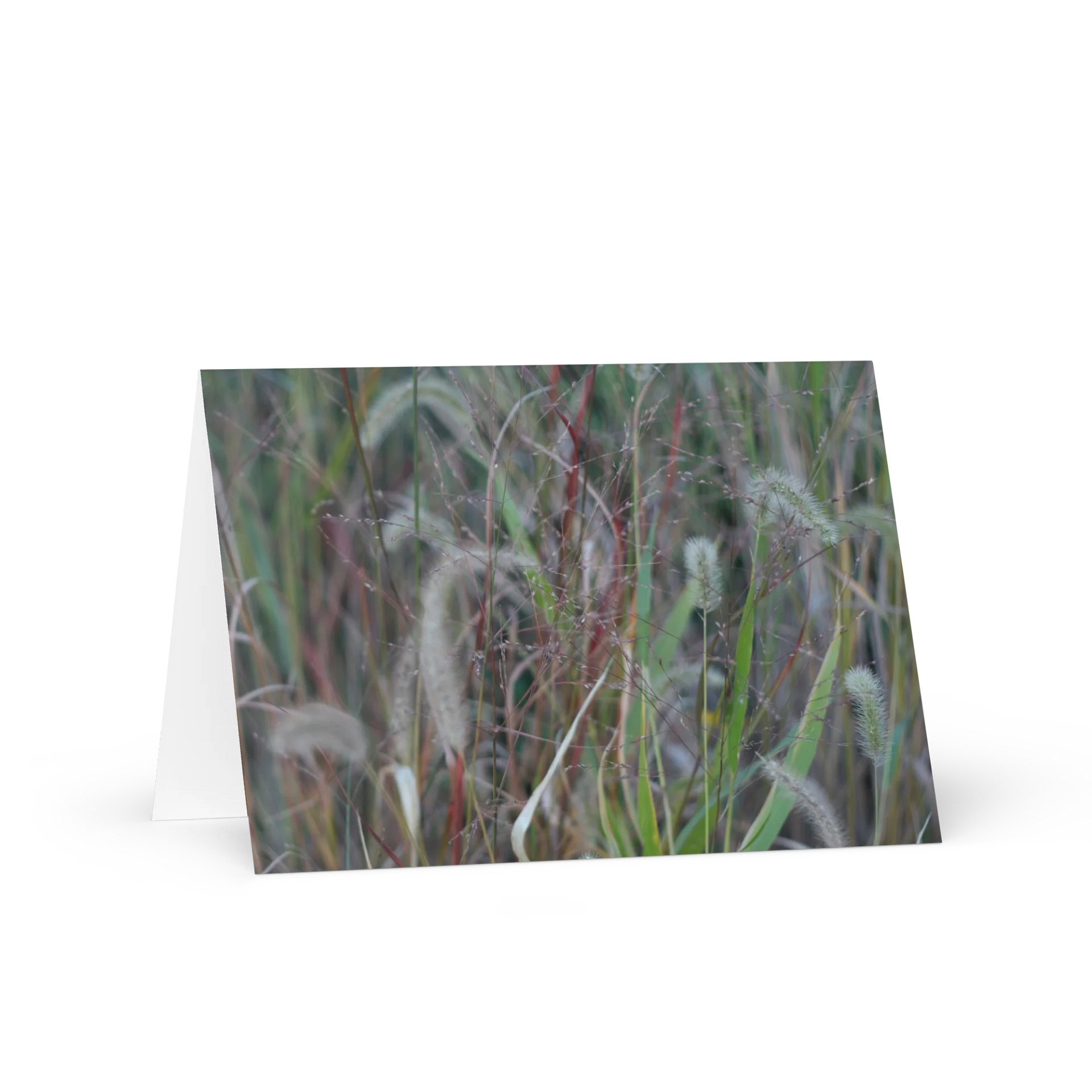 Nature's Beauty Greeting Card product image (1)