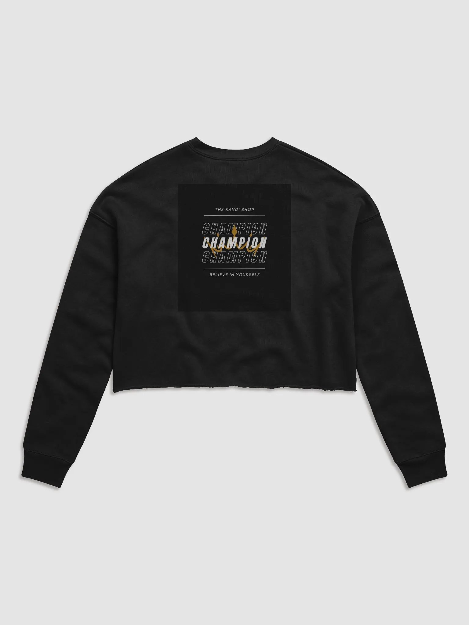 Believe Champion Crop Sweater product image (6)
