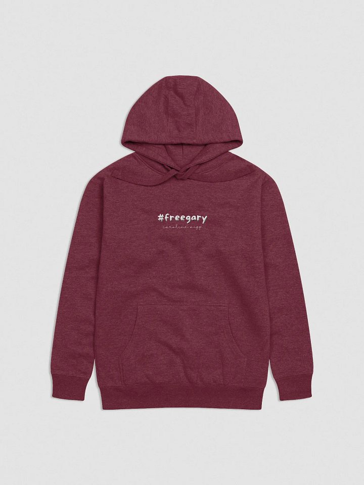 Free Gary Unisex Embroidered Hoodie - Dark Colours product image (5)