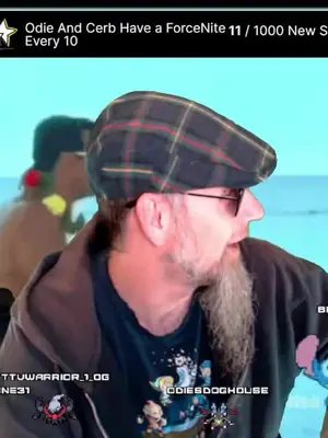 Pulling things? #strays4life #screamqueens #thebakery #streamlife #th... | #odiesdoghouse on #Twitch
