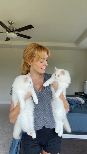 Seeing if Copper passes the Ragdoll test