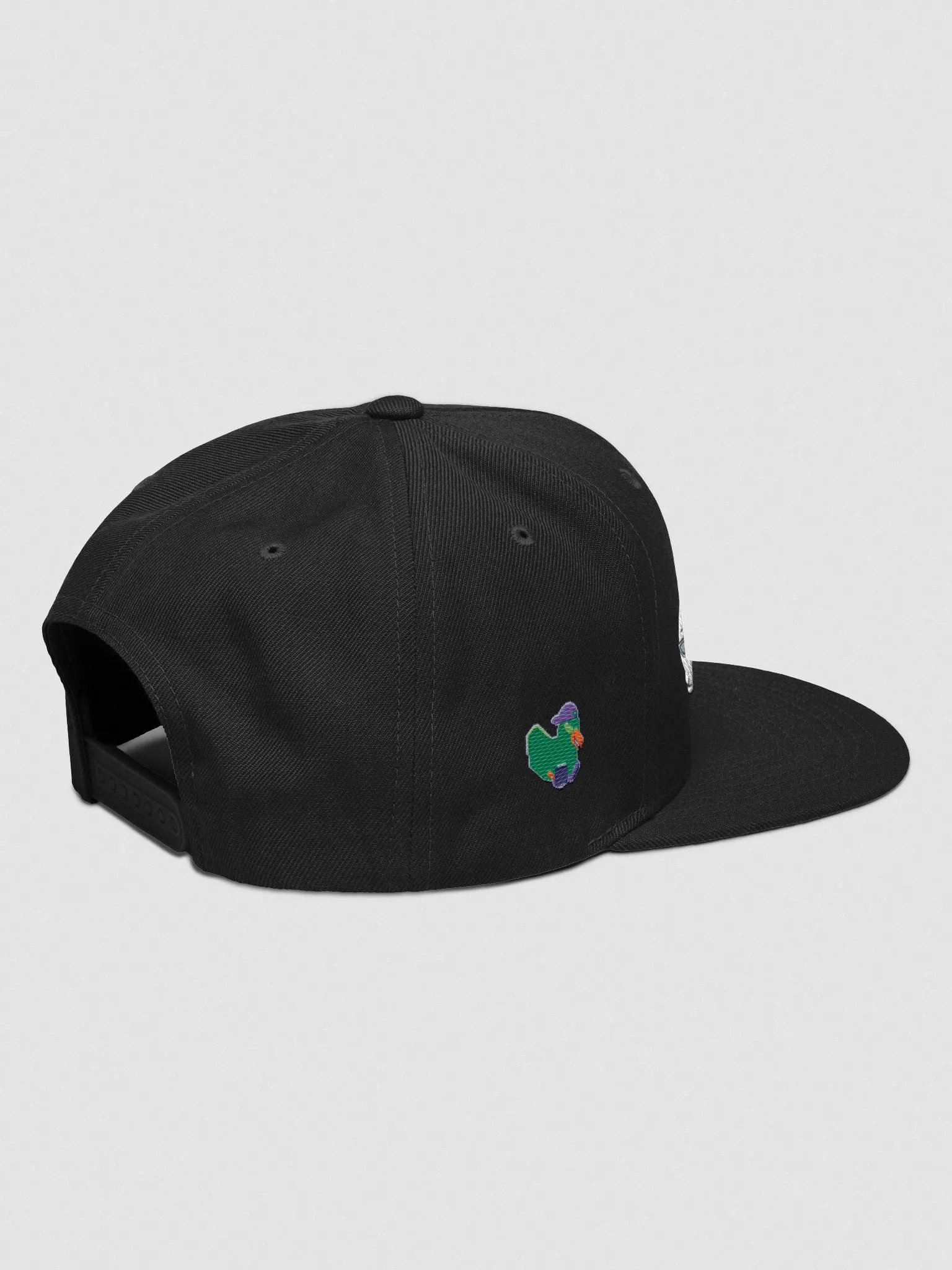 Daffy Flat Bill product image (2)