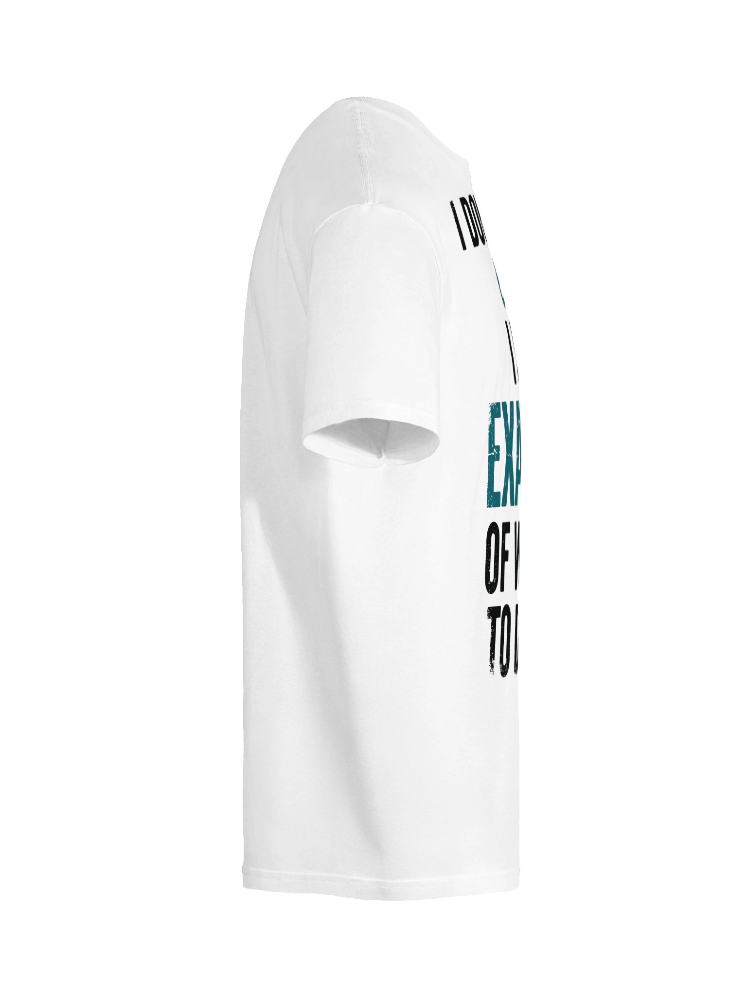 I Have Examples Funny Ex T-Shirt product image (37)