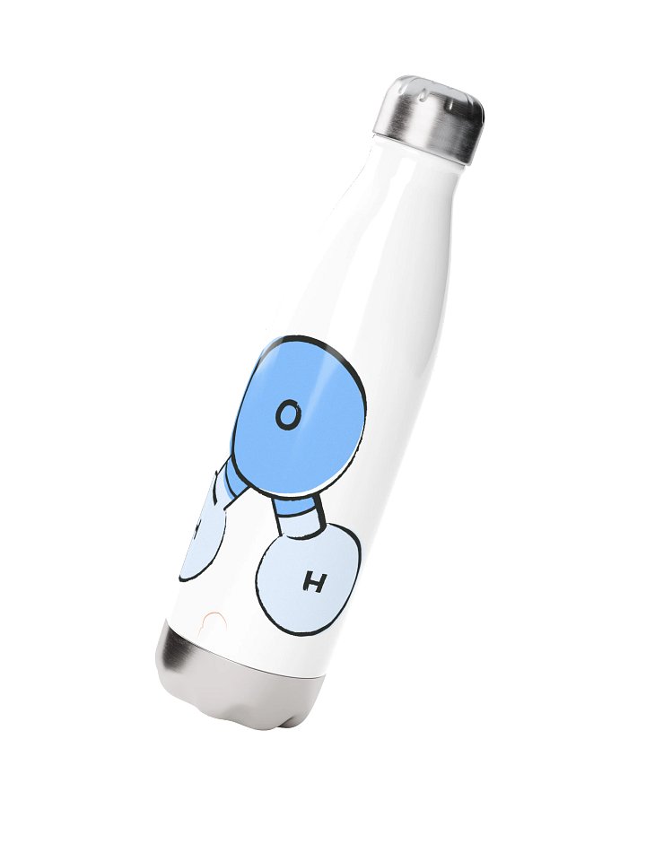 H2O Stainless Steel Water Bottle product image (4)