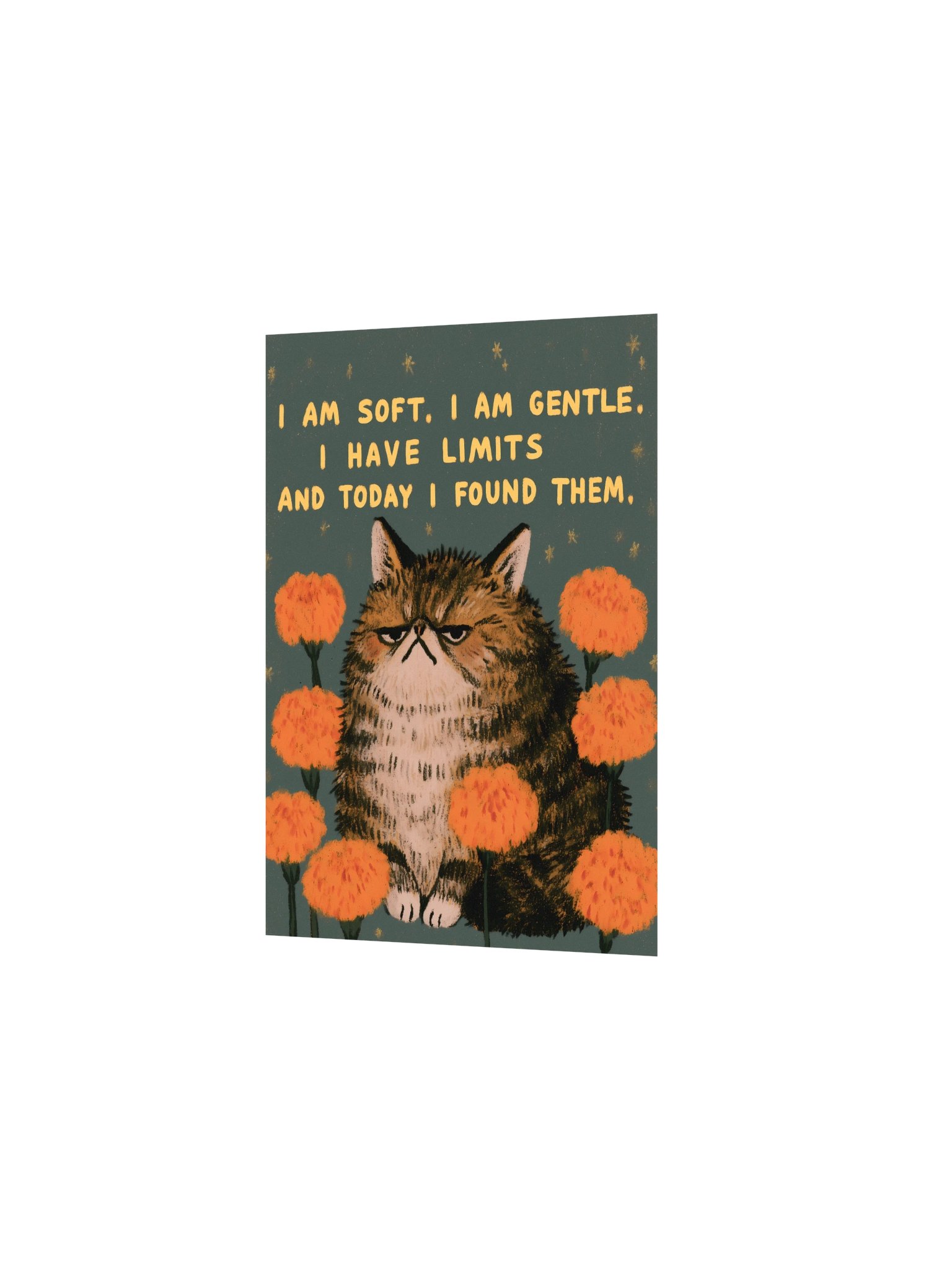Grumpy Cat Limits Poster product image (7)