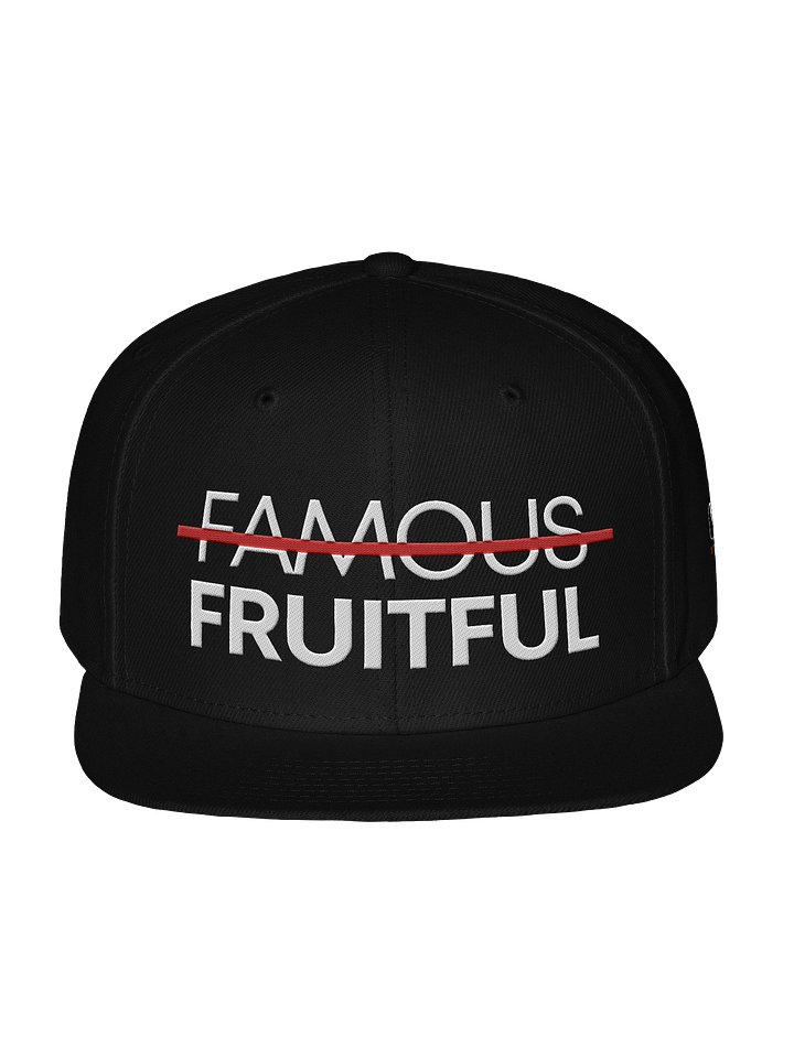 Not Famous But Fruitful Snapback product image (1)