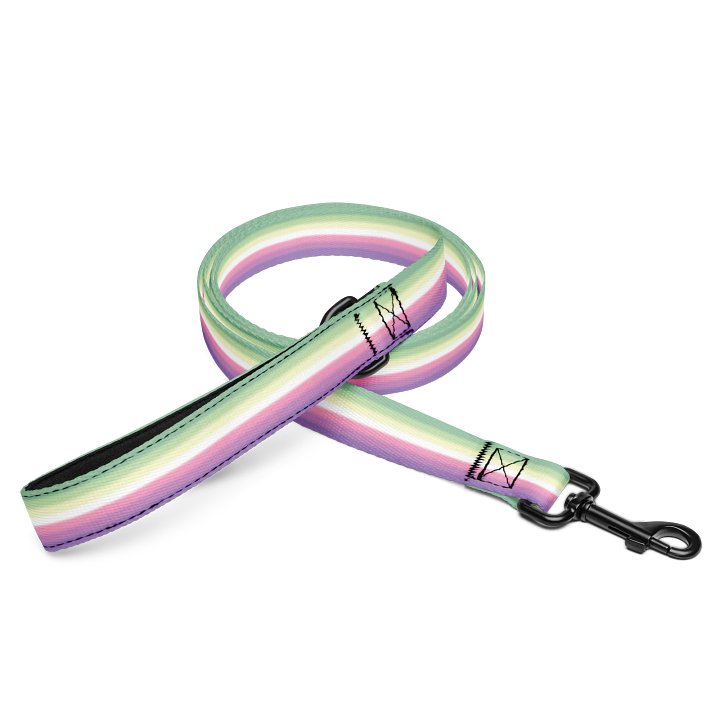 Genderfae Pride Flag Pet Leash product image (1)
