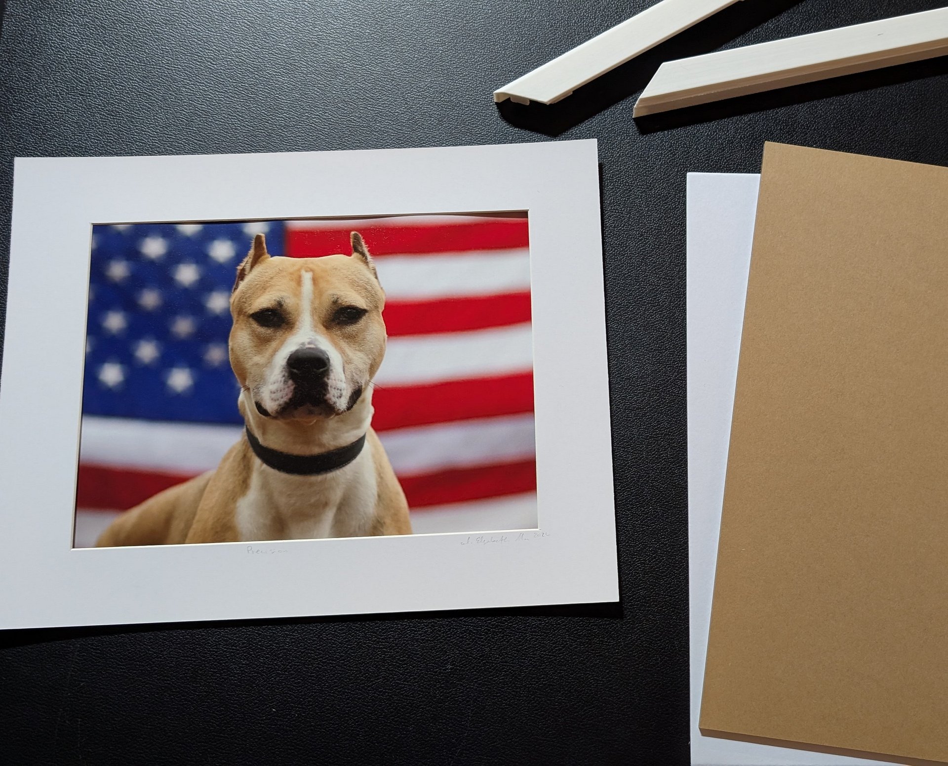 Precision Limited Edition Print – American Pit Bull Terrier USA Flag (Signed 5x7 matted 8x10) product image (1)