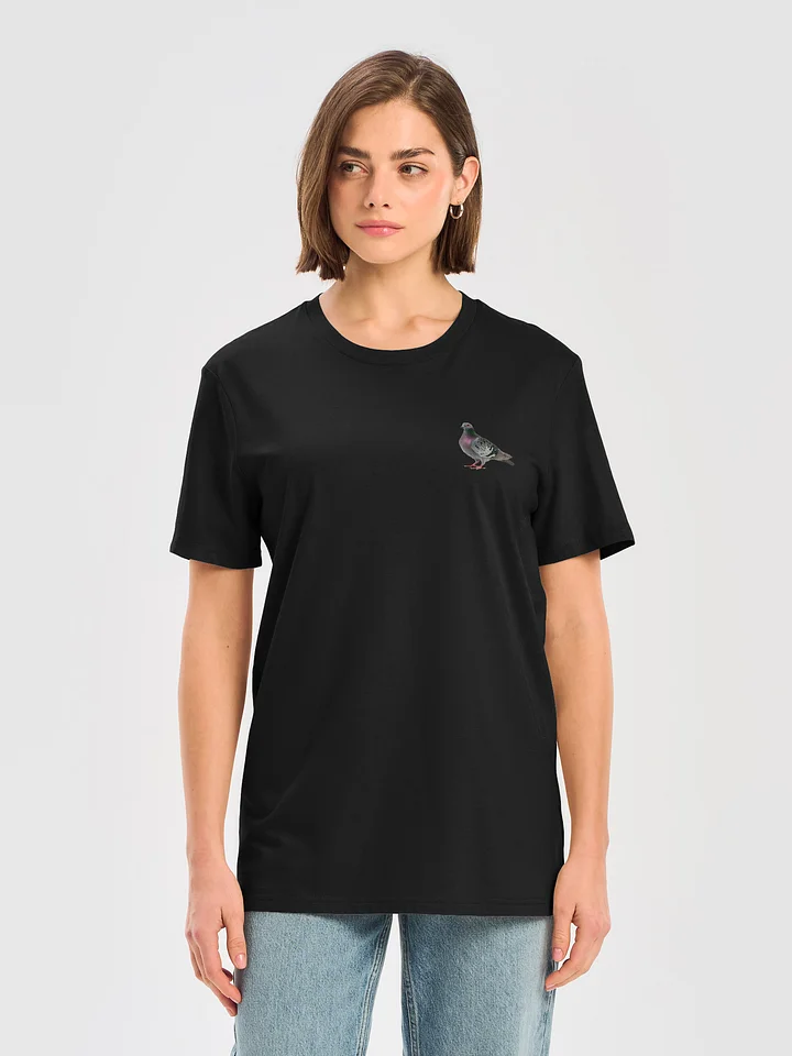 Protect the Pigeons T-Shirt product image (1)