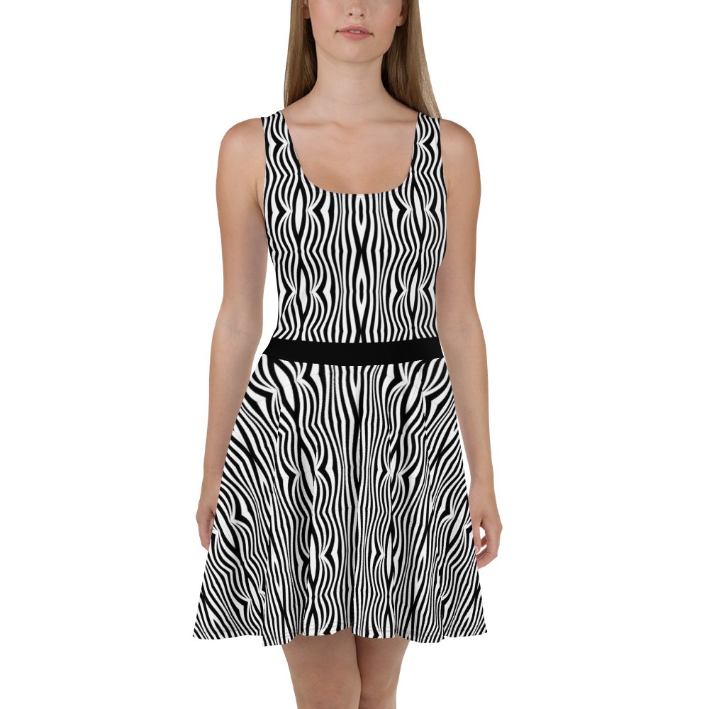 Groovy Lines Zebra Print Dress product image (1)