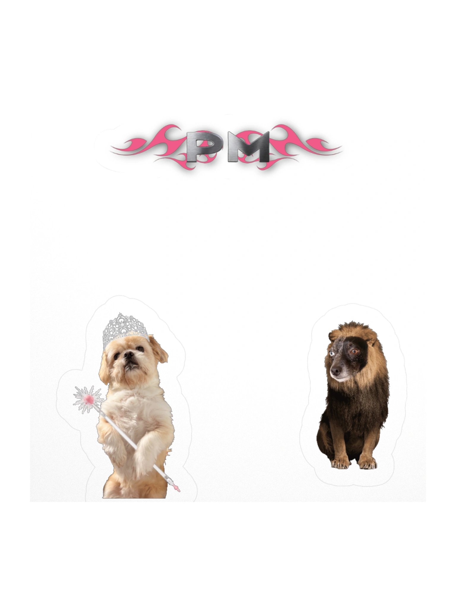 PM-DOG product image (2)
