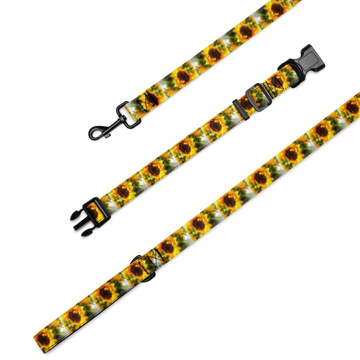 Sunflower Pet Collar & Leash Set product image (2)