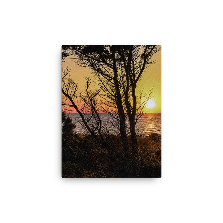 Holding the Last Light - Canvas product image (1)
