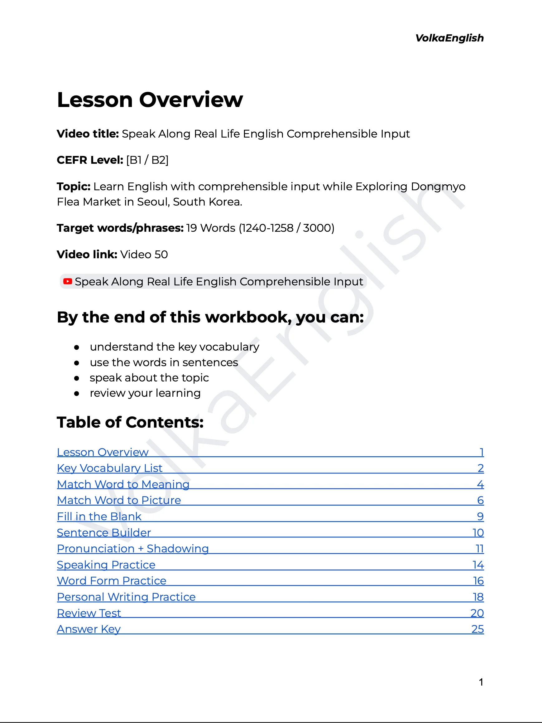 Speak Along Real Life English Comprehensible Input - Video 50 Study Pack product image (2)