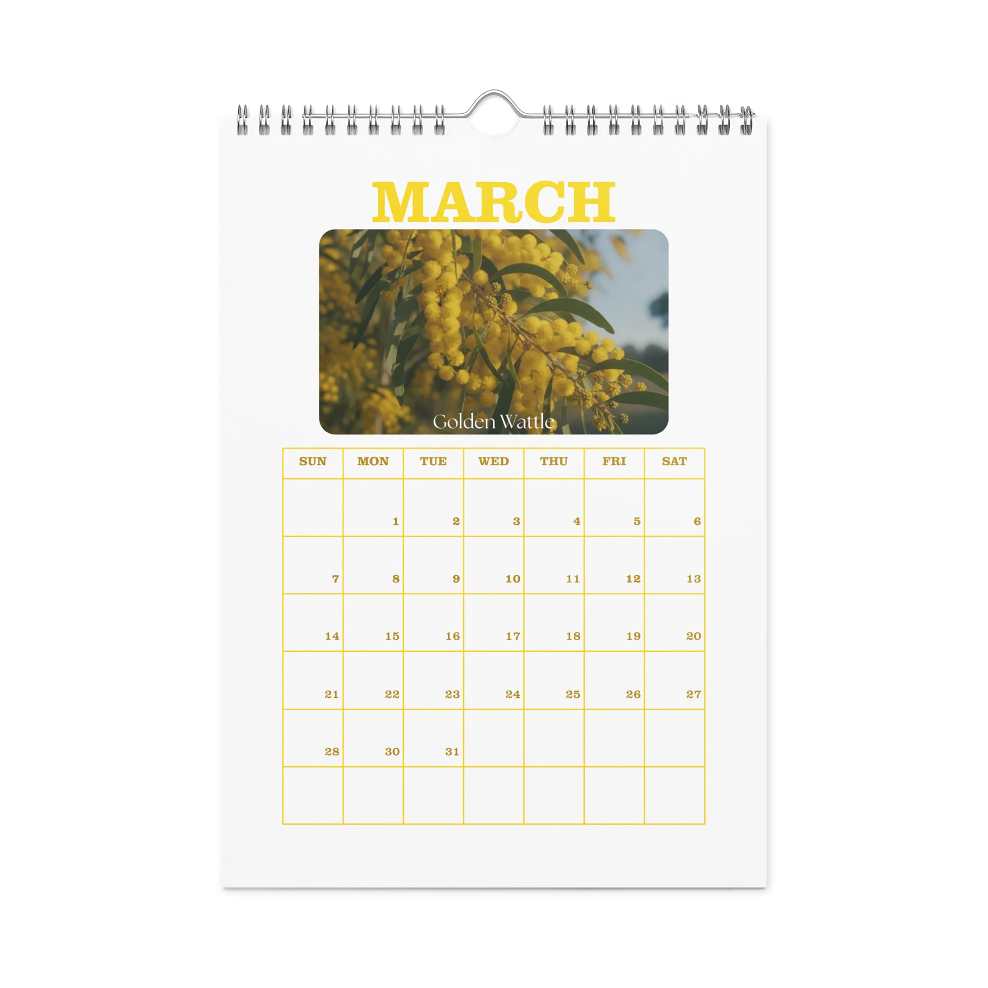 2027 - PRIDE WITH AUSTRALIAN NATIVE FLORA - Wall Calendar product image (9)