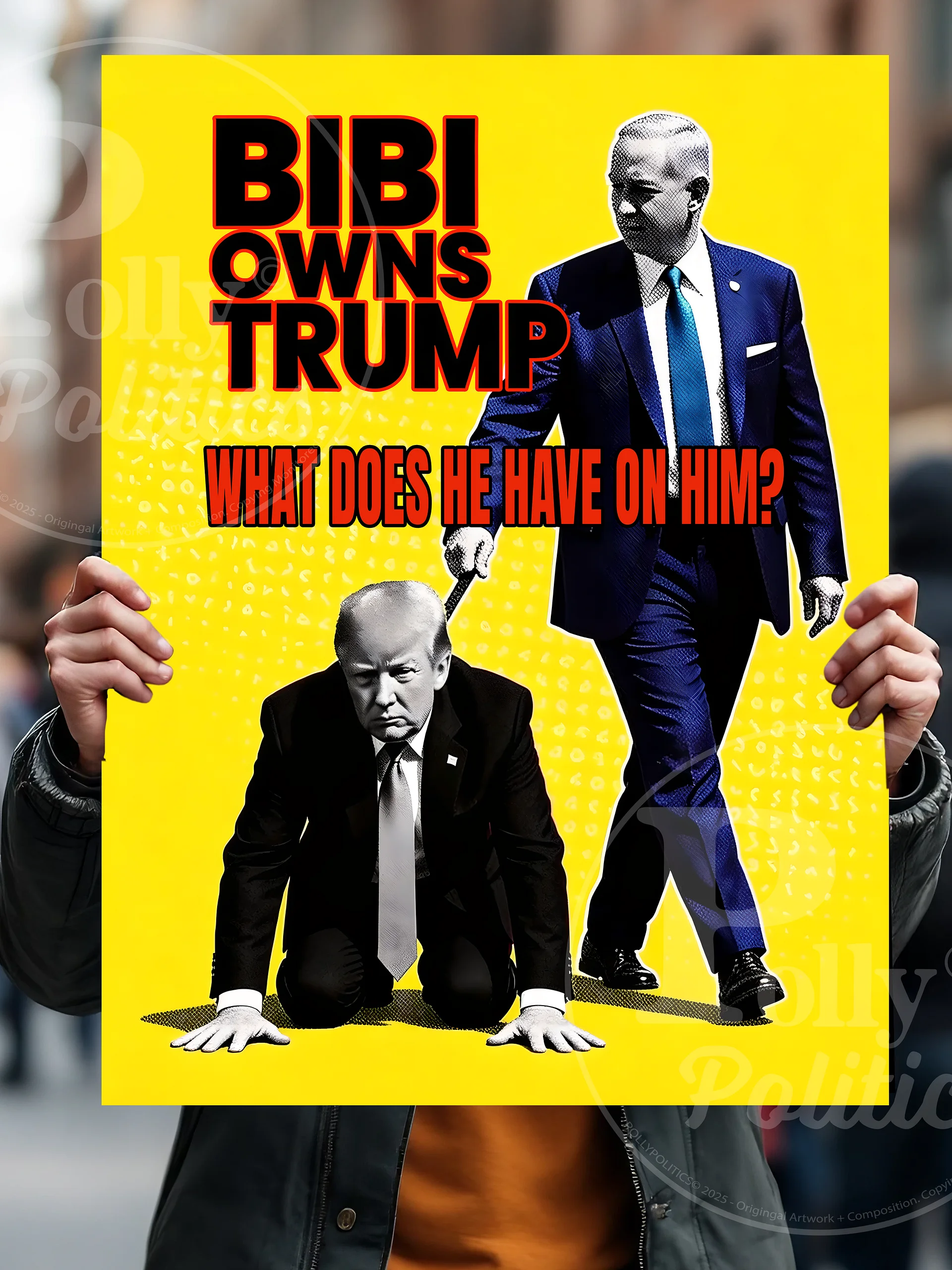 Bibi Owns Trump Protest Sign product image (3)