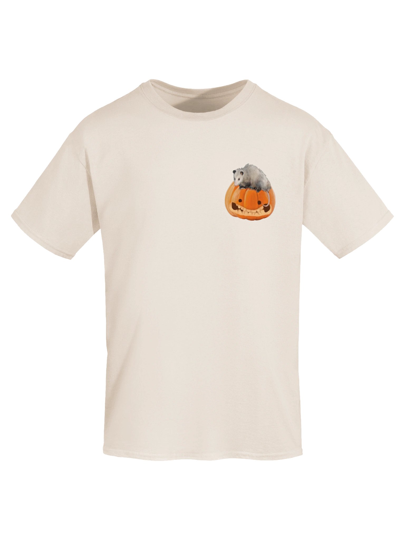 All Tricks No Treats [Double Sided]- Autumn Pumpkin Possum T-shirt product image (5)