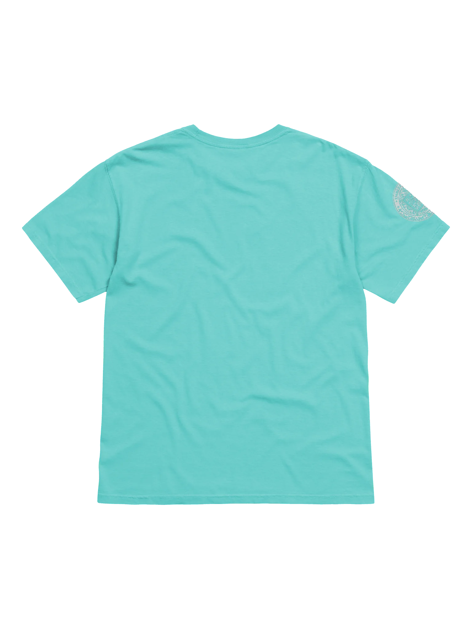 Blind to the Beyond (White on Color) product image (82)