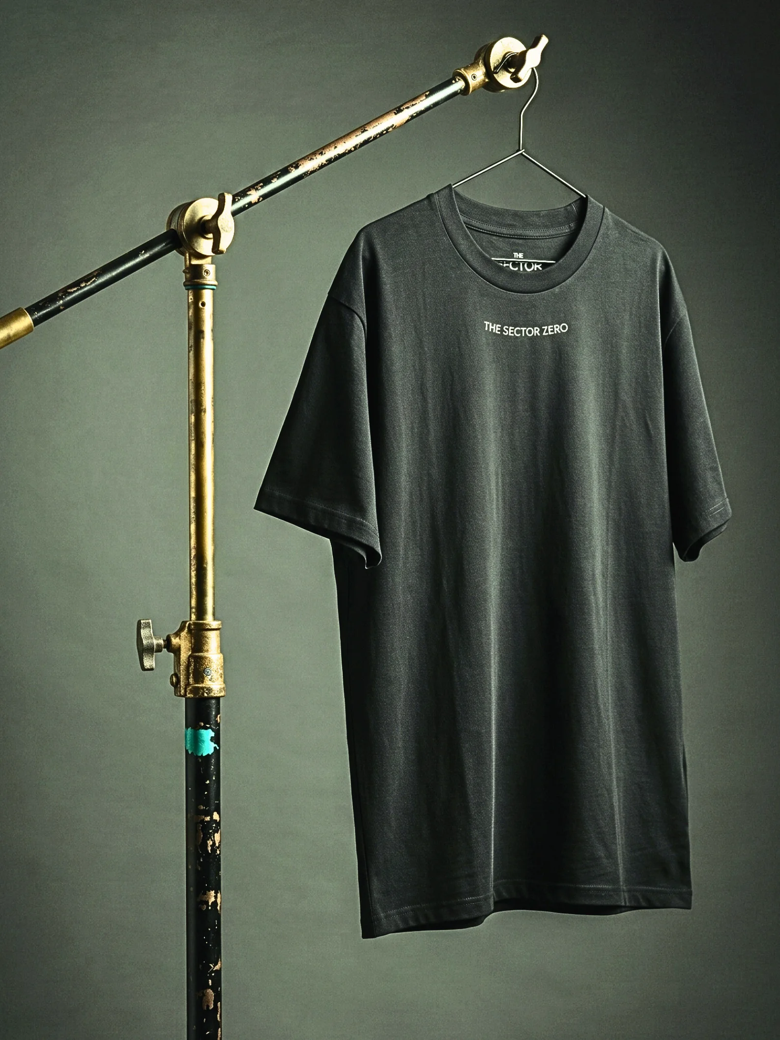 THE DESTINY HEAVYWEIGHT TEE product image (2)