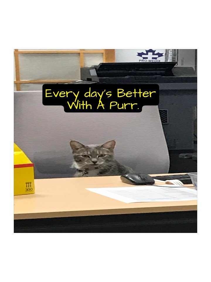 Purr-fect Desk Companion Stickers product image (1)