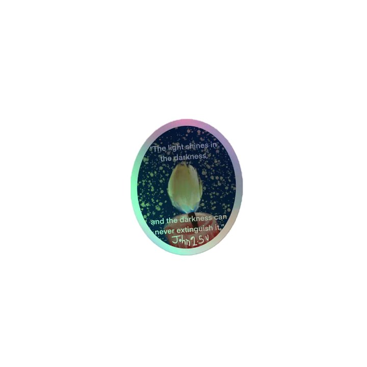 Bible verse John 1:5 product image (1)
