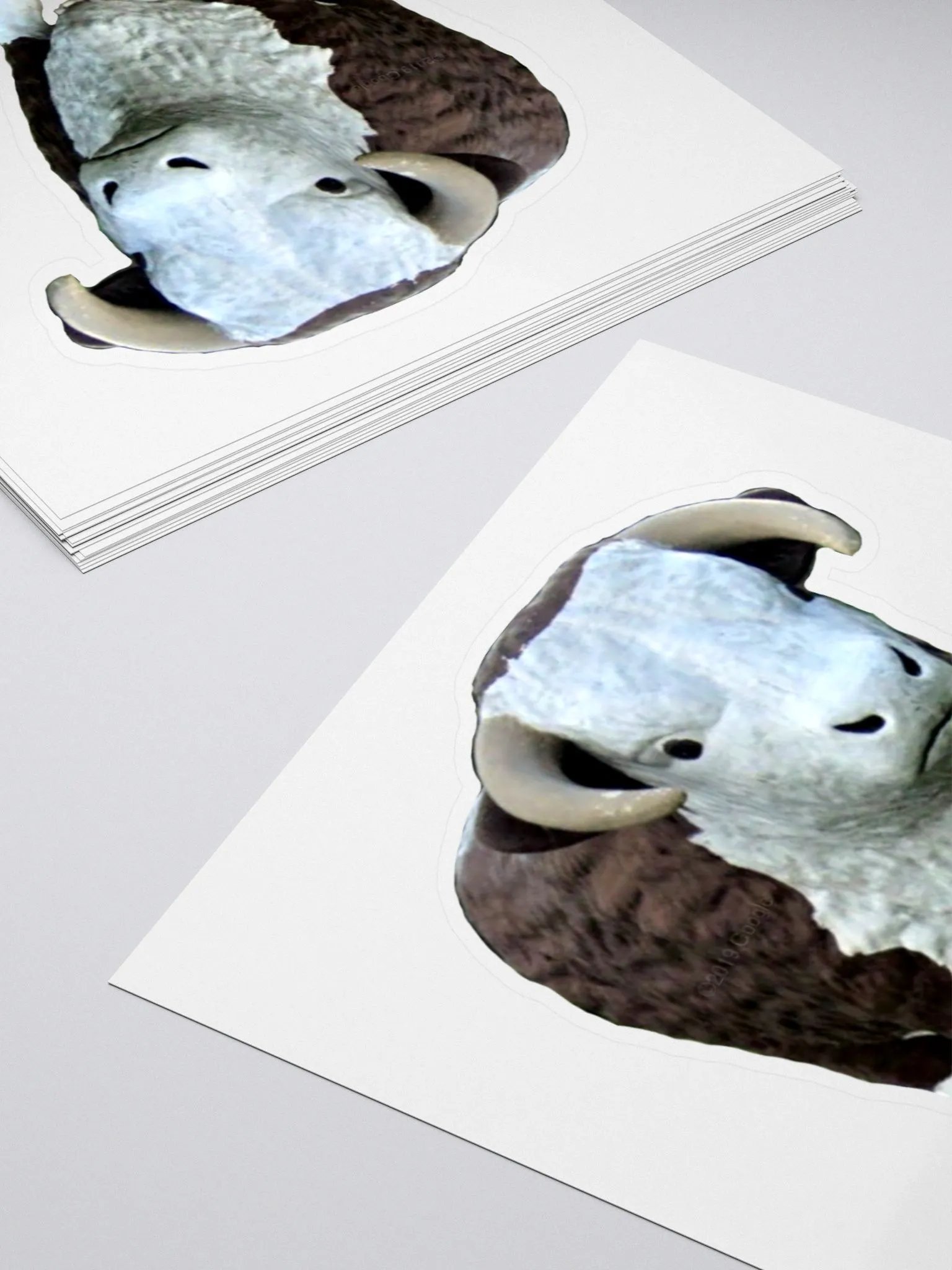 Big beef cow Sticker product image (4)