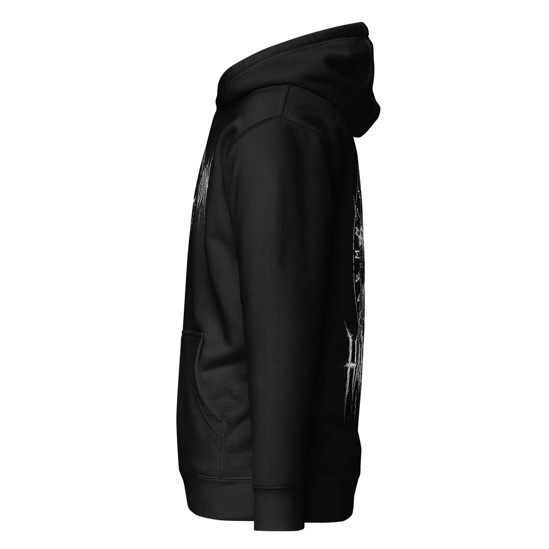TMP - Hail Odin Hoodie product image (3)